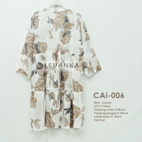 CAi-006 Outer Ceruti / Cerutty motif